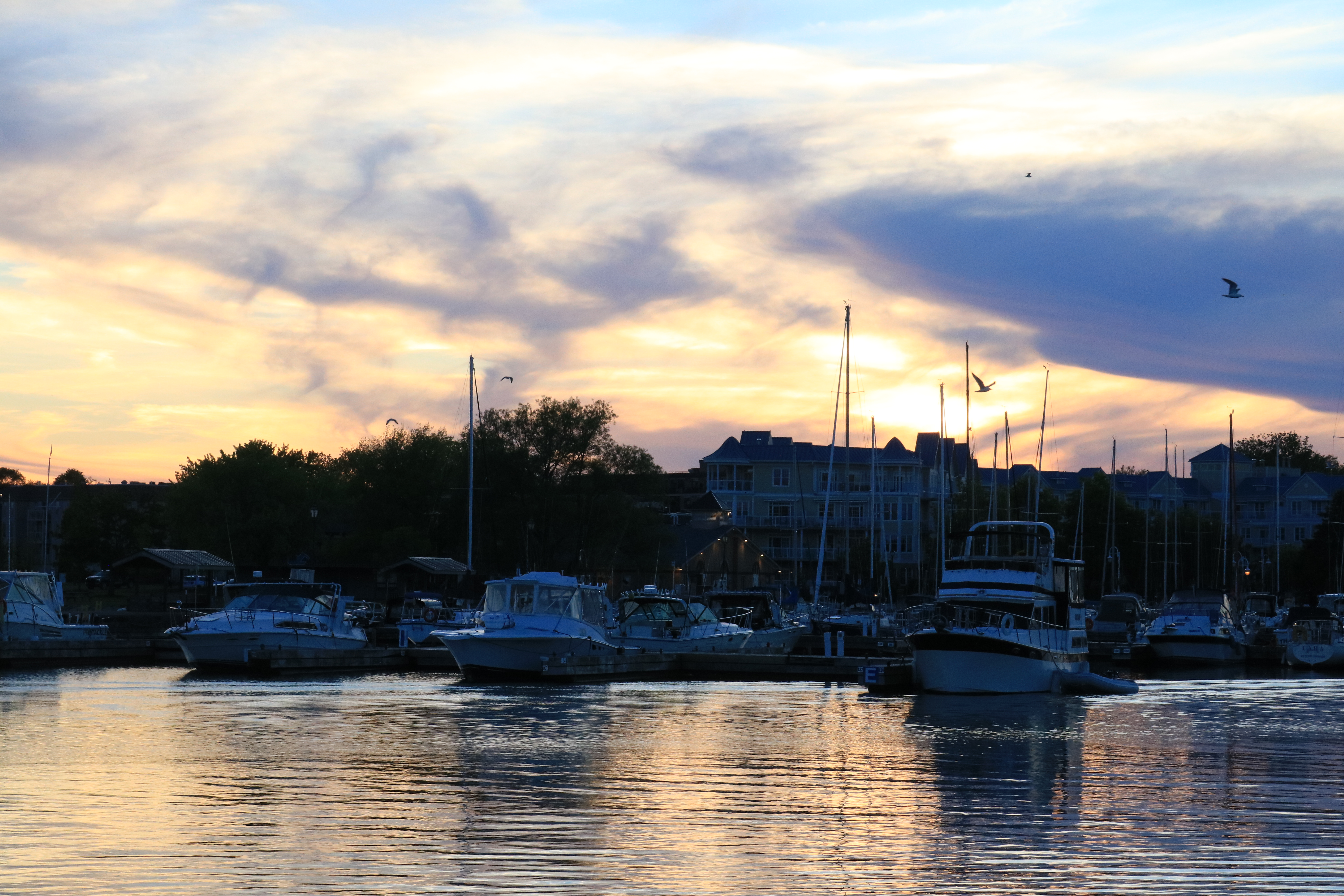 Boats At The Dock